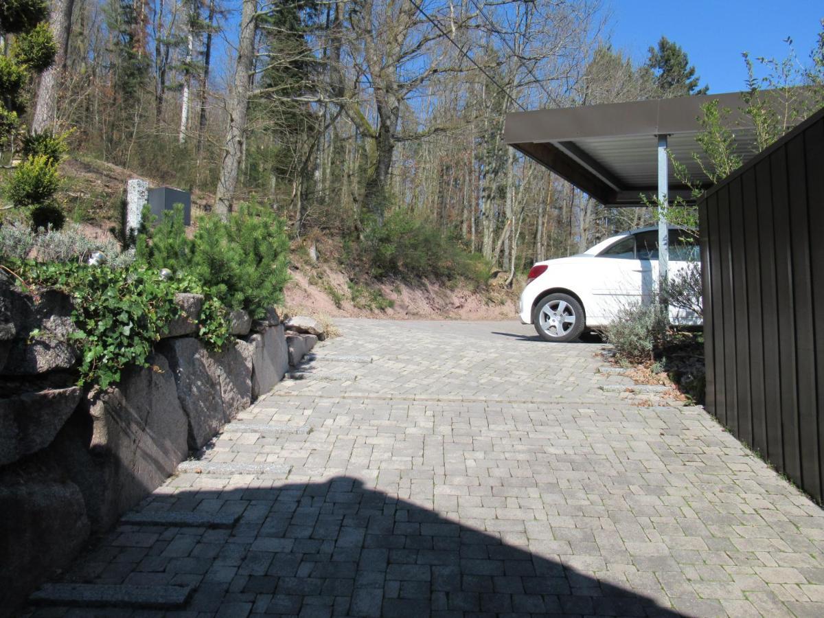 Oberhaslach Le Clos D'Aure. מראה חיצוני תמונה