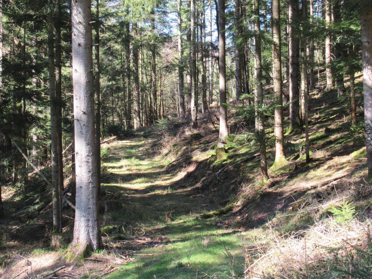 Oberhaslach Le Clos D'Aure. מראה חיצוני תמונה