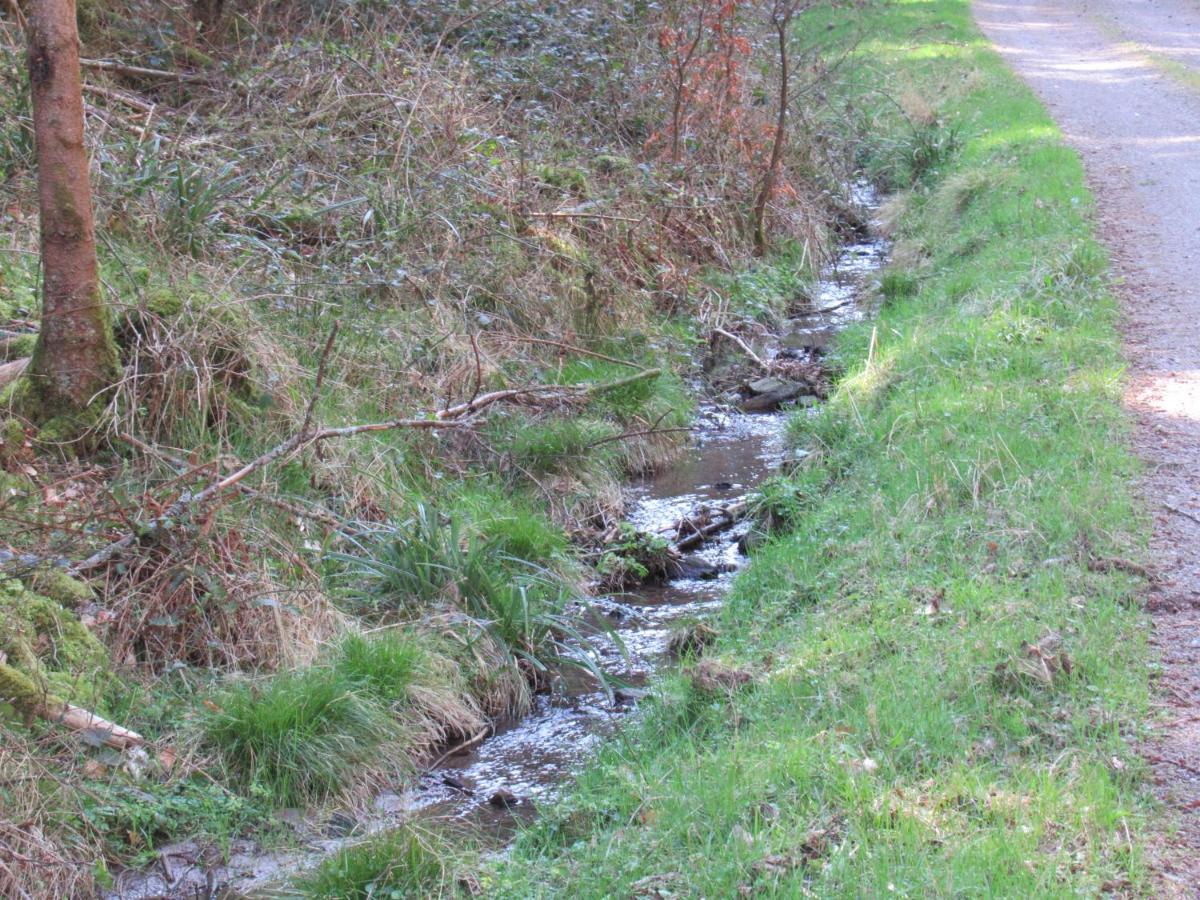 Oberhaslach Le Clos D'Aure. מראה חיצוני תמונה