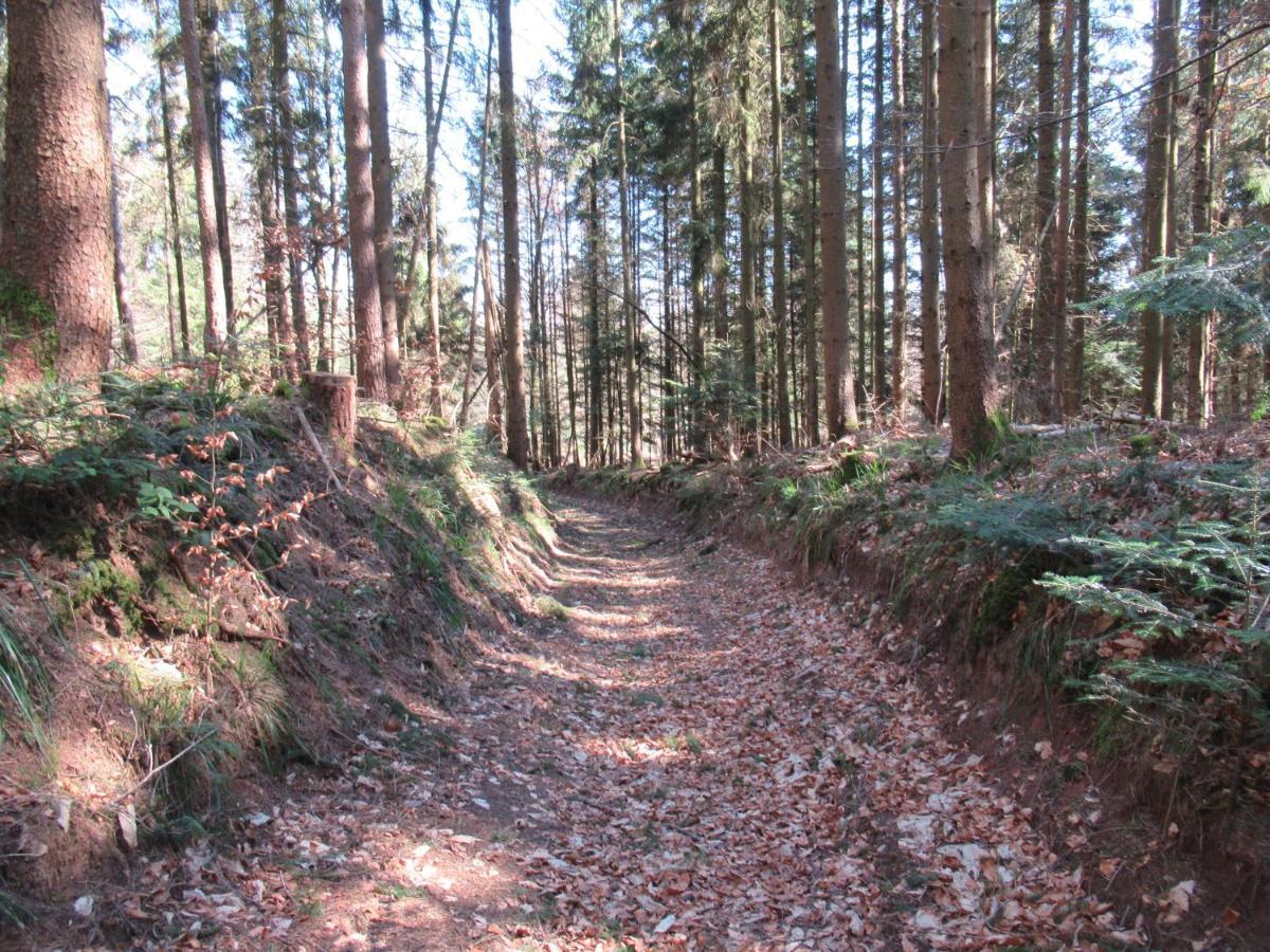 Oberhaslach Le Clos D'Aure. מראה חיצוני תמונה