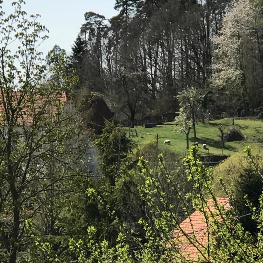 Oberhaslach Le Clos D'Aure. מראה חיצוני תמונה